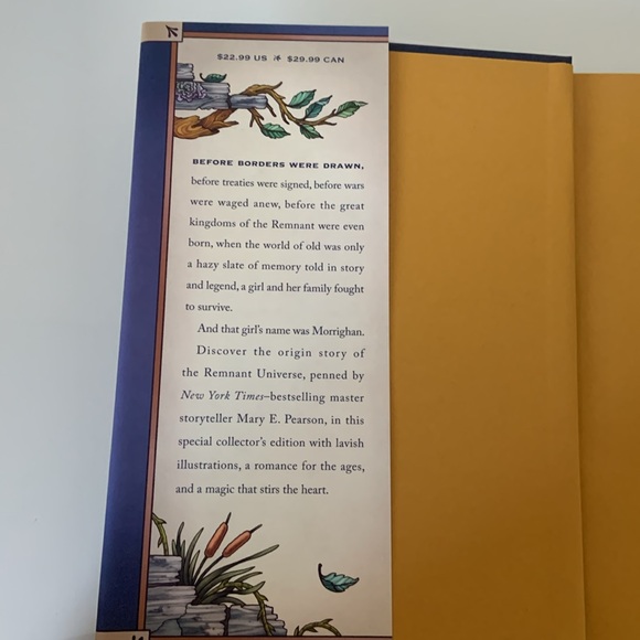 Hardcover Book Morrighan the beggings of the remnant universe by Mary E Pearson - Picture 4 of 16